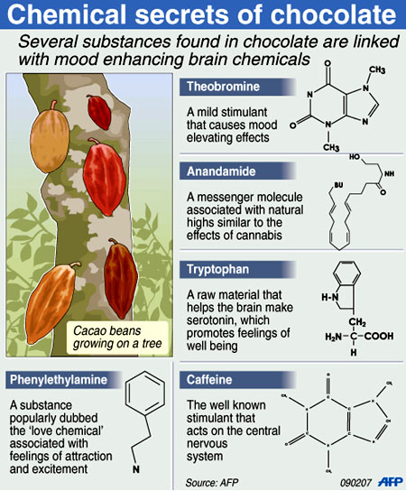 Principais componentes do chocolate